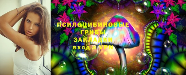 PSILOCYBIN Алексин
