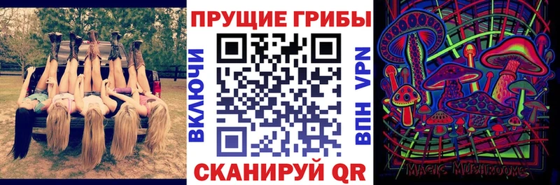 магазин  наркотиков  Мамоново  OMG ссылка  Галлюциногенные грибы прущие грибы 